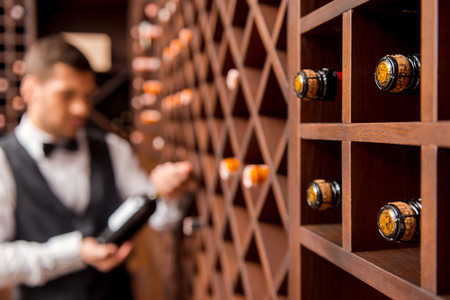 Des bouteilles de vins dans une cave