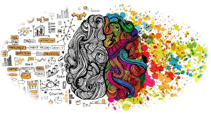 image montrant le coté logique et créatif du cerveau